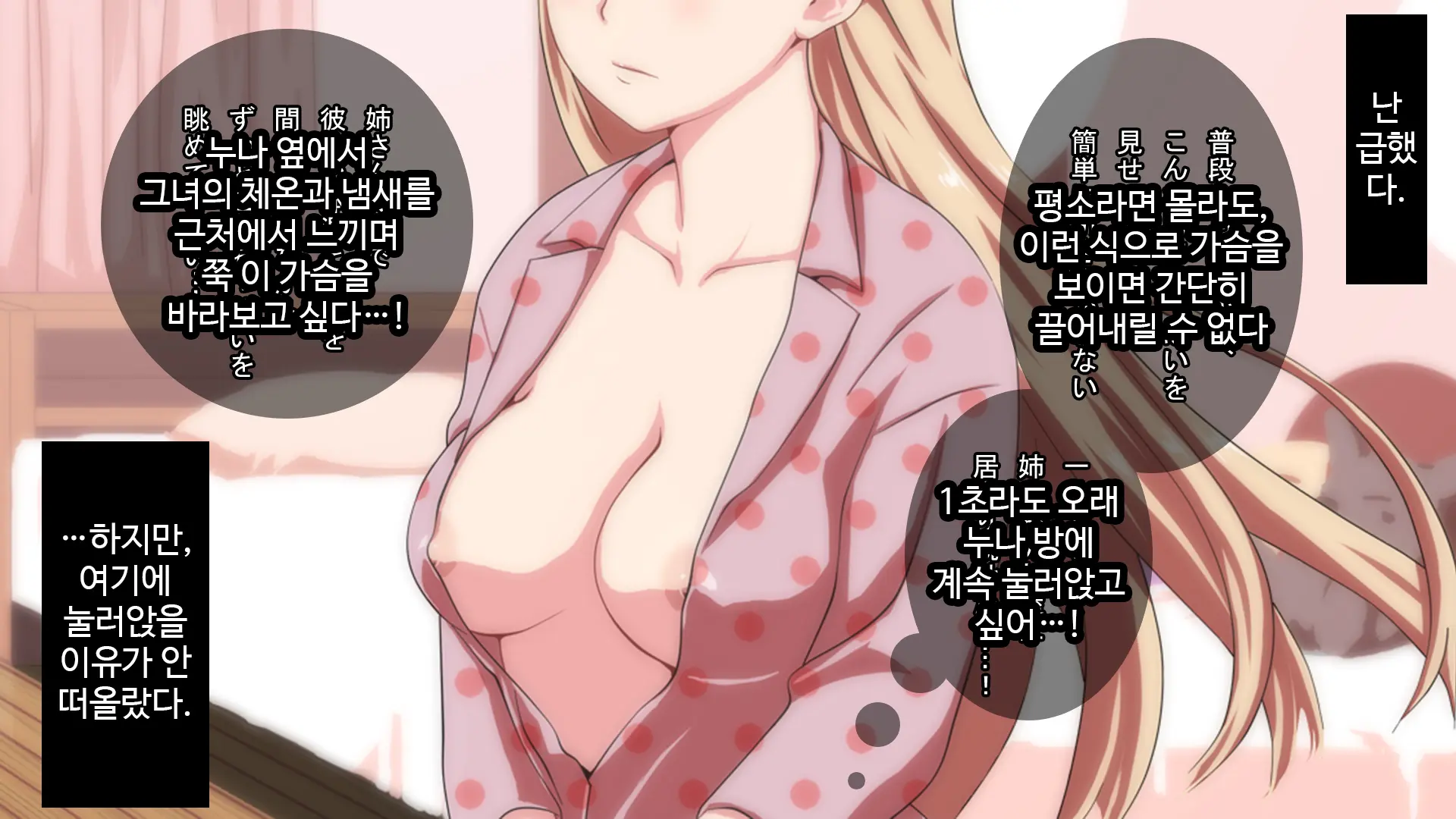 Muteikou Na Nee-San Suki Ni Shite Ii Yo...